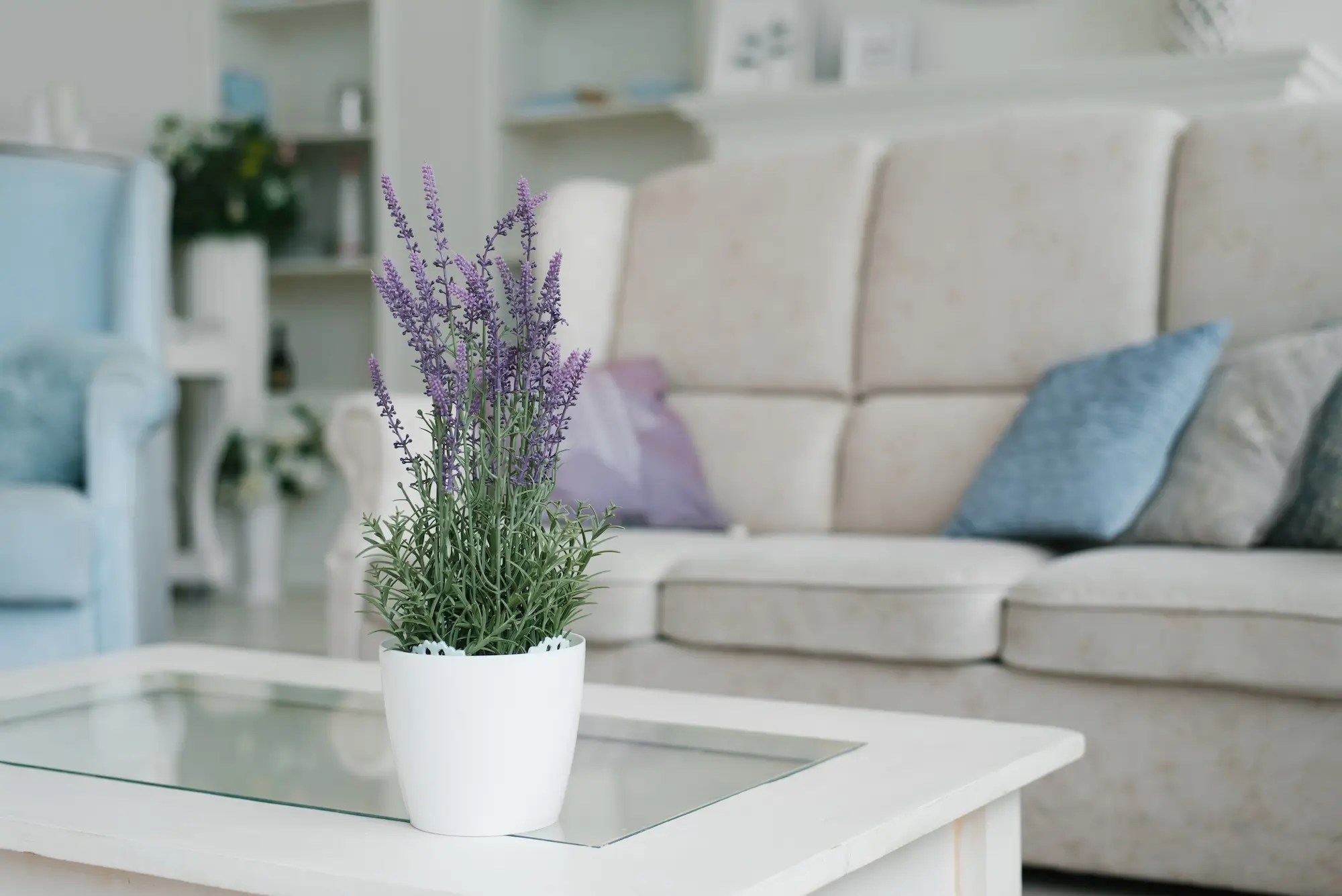 secondary banner image 1